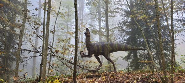 Oviraptor In the prehistoric Réclère park. thumbnail