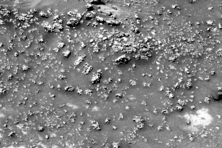 A picture snapped by Spirit near Home Plate shows silica formations poking out of the soil, which may have been formed by microbial life.