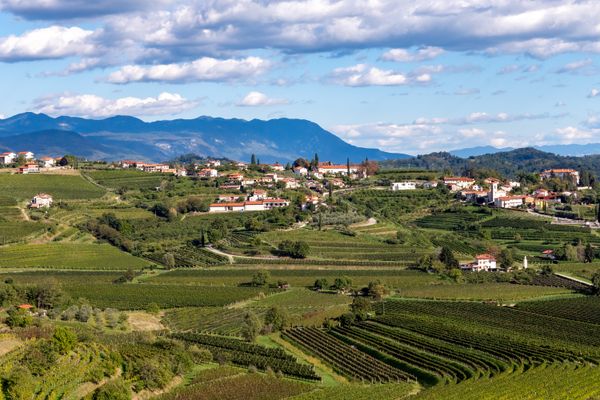 Wine Region of Goriška Brda, seen from Movia Winery thumbnail