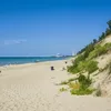 Inside the Fight to Save the Indiana Dunes, One of America's Most Vulnerable National Parks icon