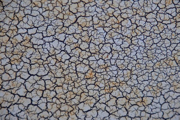 Cracked dry mud in my yard during a drought. thumbnail