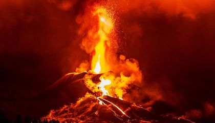 The Gruesome Ways Volcanoes Kill Fish