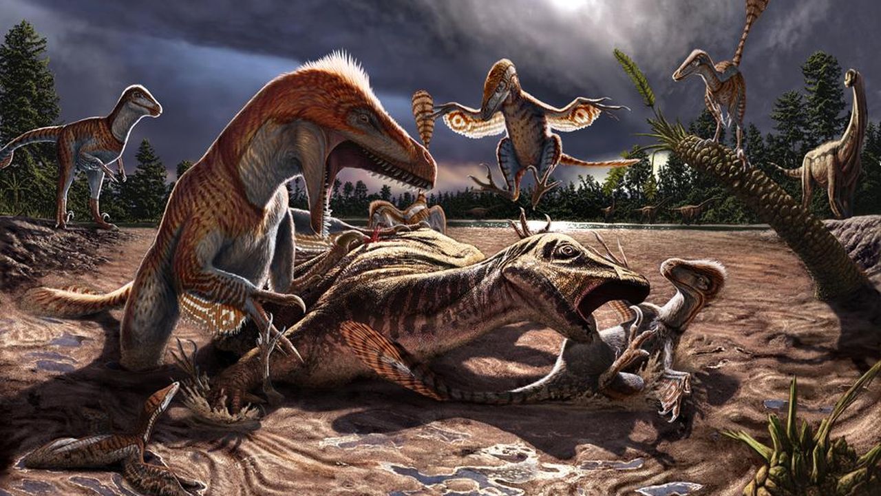 The Continuously Evolving Picture of the World's Largest Raptor, image size:1280x720