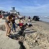 Hurricanes Reveal 19th-Century Shipwreck Hidden Beneath Florida Beach icon