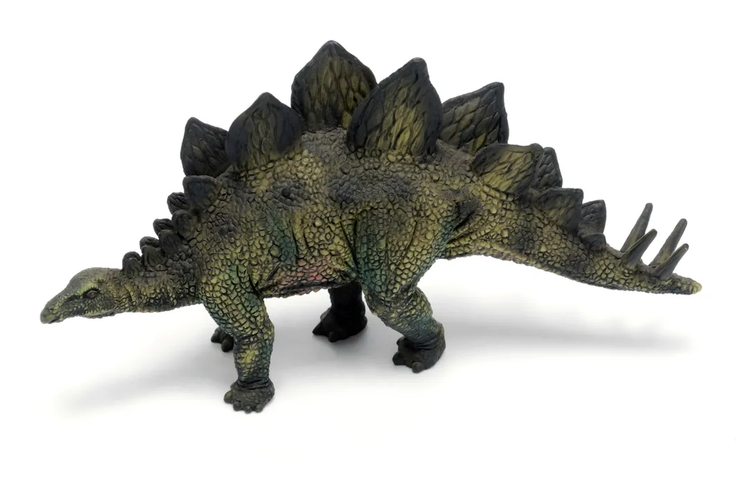 Stegosaurus