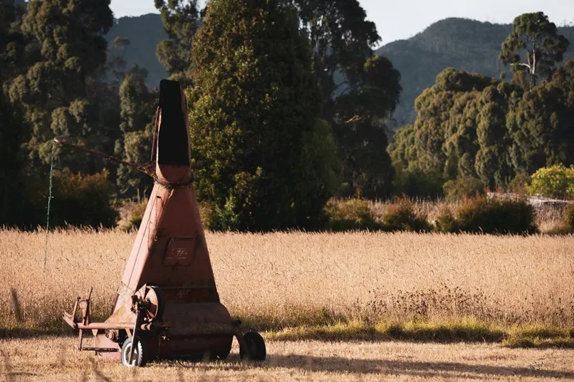 Farming equipment rests in front of a golden wheat field to be harvested for cattle grazing. 