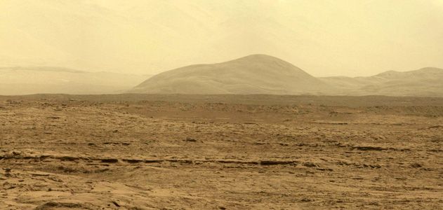 martian-life-panorama.jpg