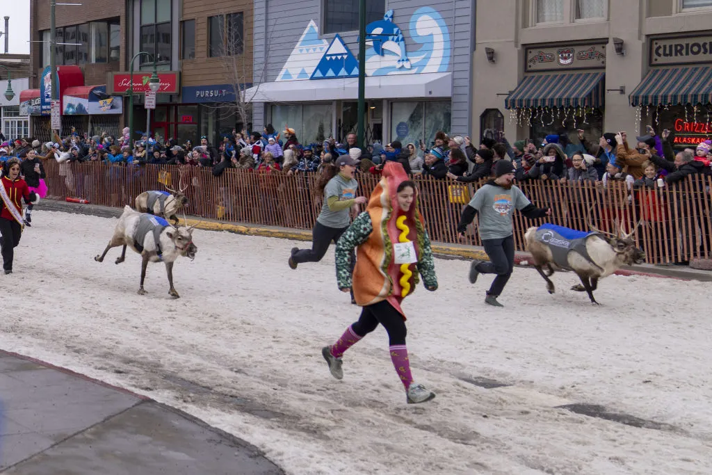 Participants run the Running of the Reindeer in costume