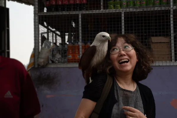 A Moment of Innocent Joy in Kerala thumbnail