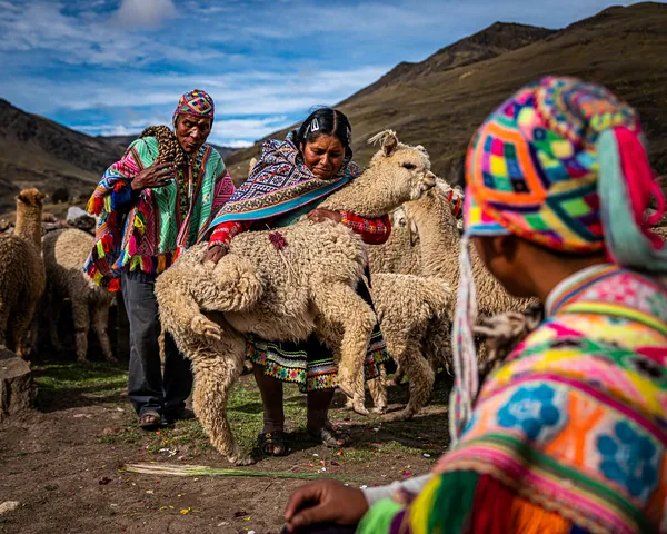 An Alpaca Farming Community thumbnail