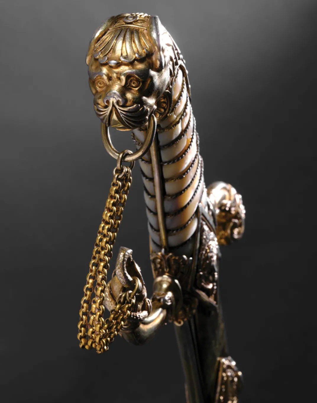 Golden dog