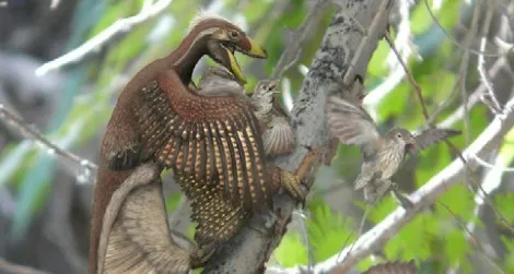 Microraptor