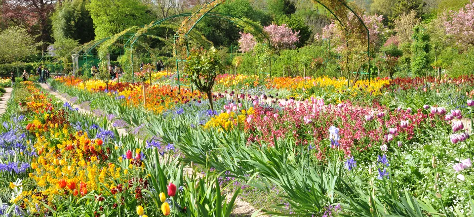  Monet's gardens at Giverny 