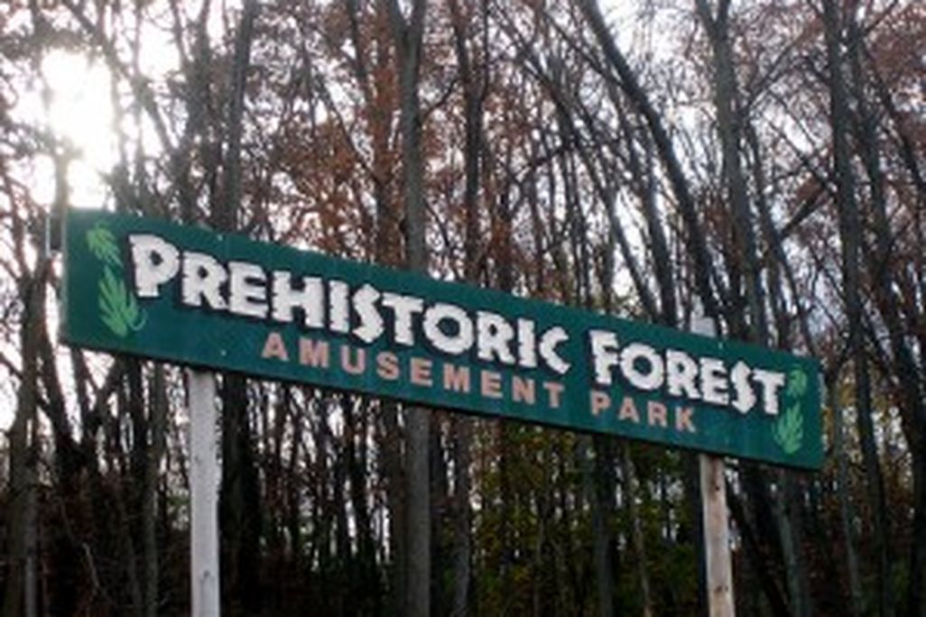 20110520083227Prehistoric-Forest-300x225.jpg
