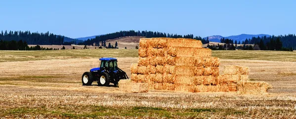 Farming in The USA thumbnail