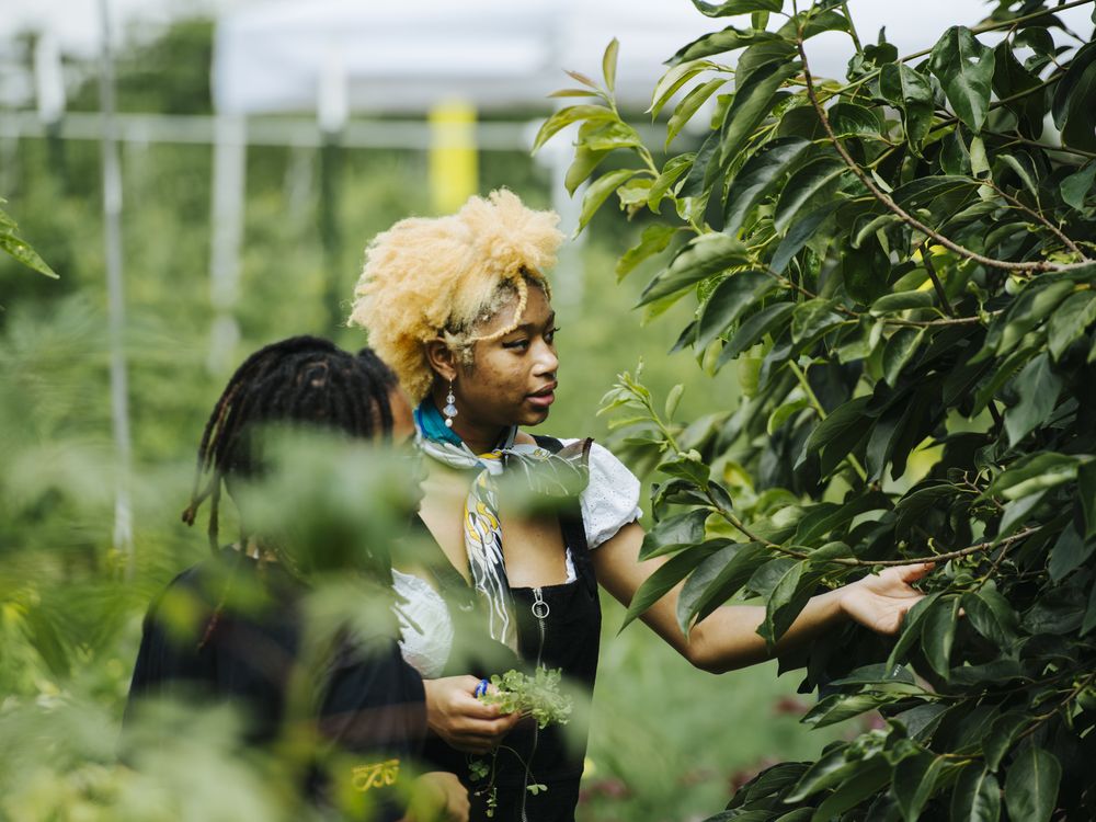 Two young people surrounded by greenery. One person has their hand outstretched towards a leafy bush in front of them.