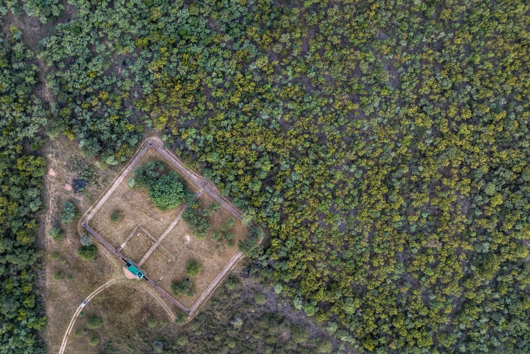 An overhead view of the wild dog enclosure at Welgevonden. The space features separate drinking and splash pools, an underground den, and a nearby mini-clinic.