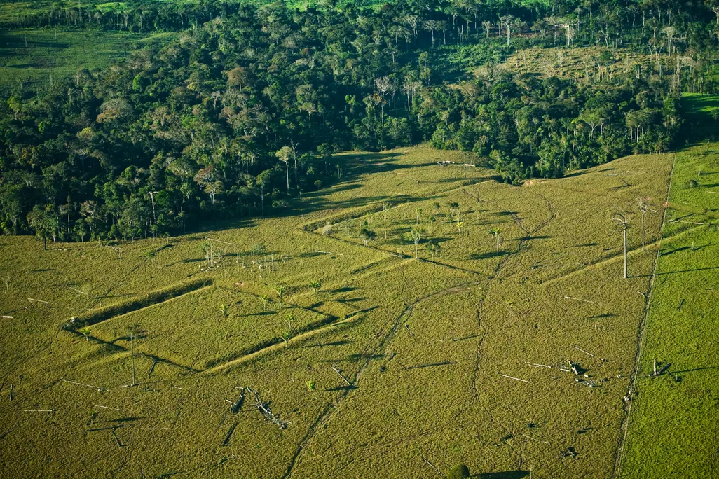 Geometric shapes on green landscape