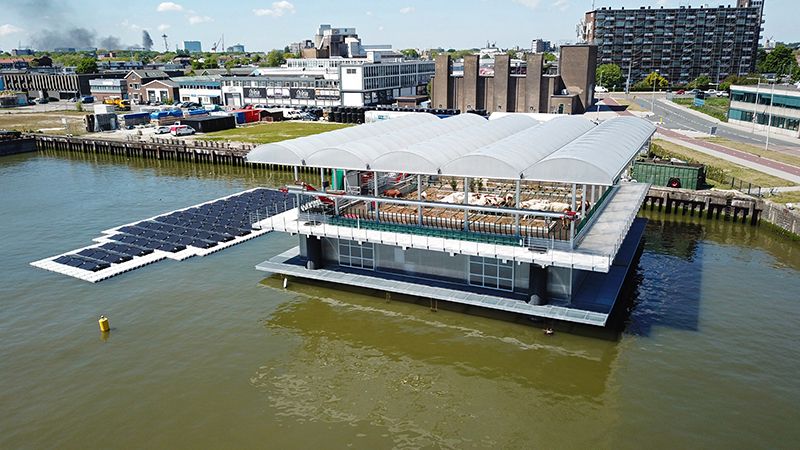 Floating-Farm-main.jpg