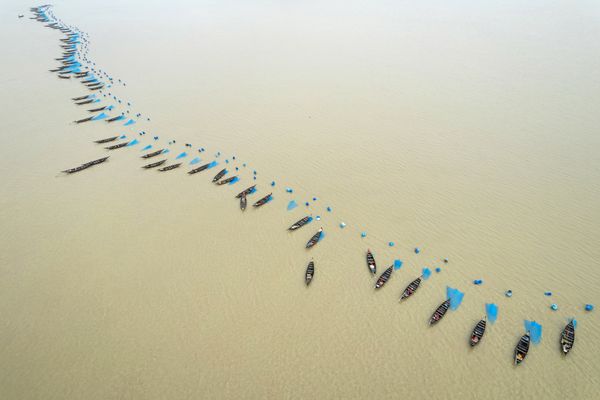 Fishing in Sundarbans thumbnail