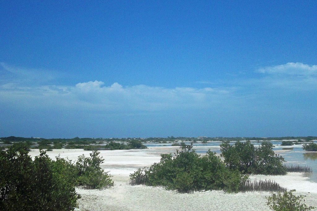 Chicxulub_Puerto.jpg