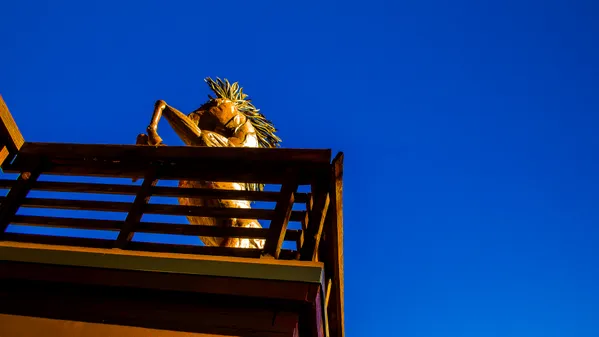 A Horse of Course thumbnail