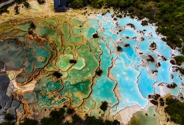 Emerald pool in the forest thumbnail