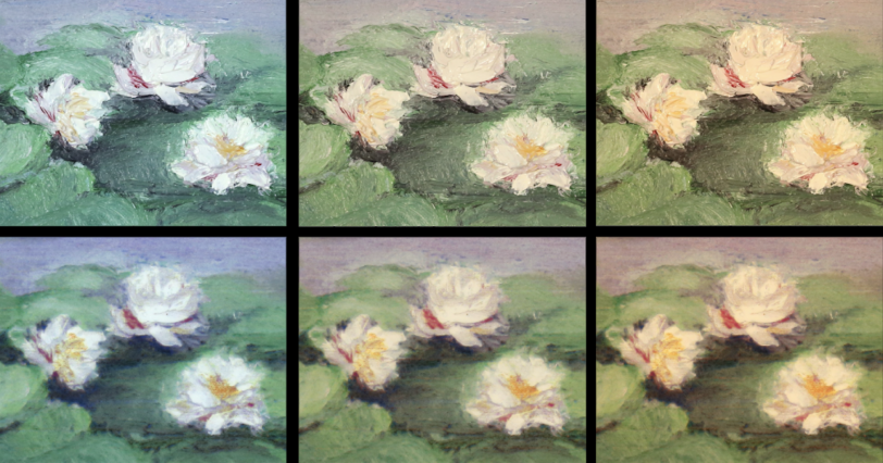 RePaint-Flowers-MIT-00_0.png