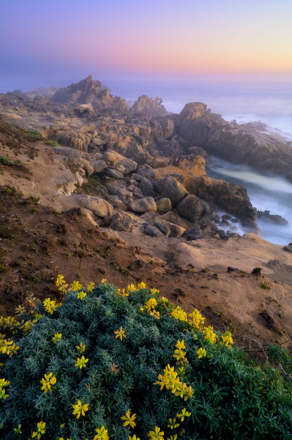 Twilight over Sonoma Coast thumbnail