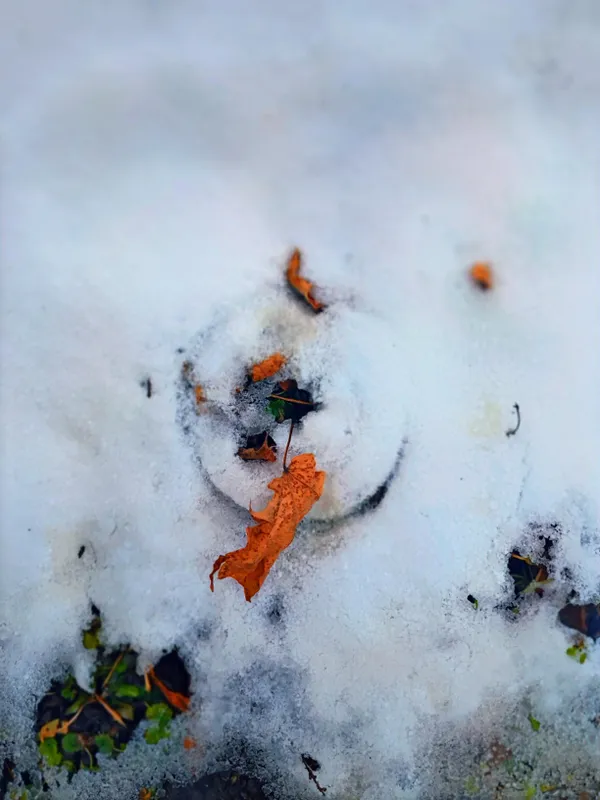 Fighting Winter thumbnail