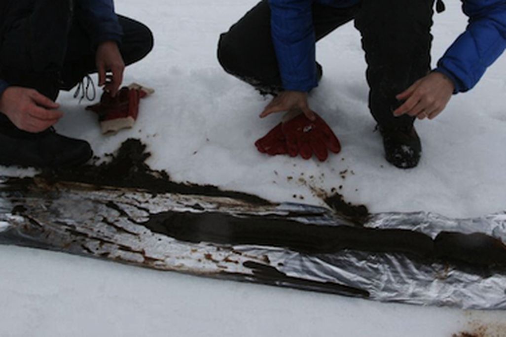Ice cores from a lake in Norway. Image from Science/AAAS