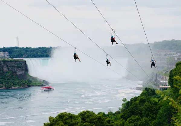 Soaring Over the Roar thumbnail