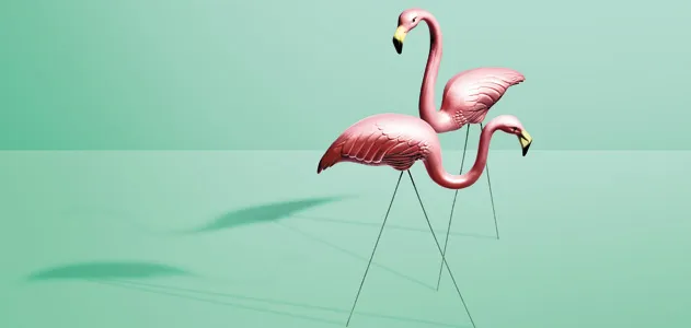Plastic Flamingos