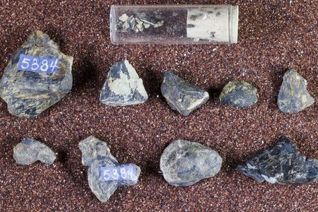 This fossilized dinosaur head and vertebrae were discovered in 1883 but only recently gained its name, Smitanosaurus agilis.