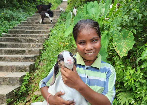 Nepalese girl with a lamb thumbnail