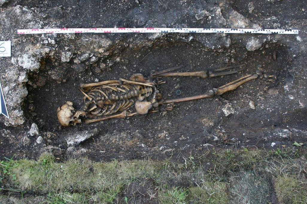 skeleton.jpg