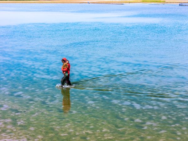 A story of life’s struggle thumbnail