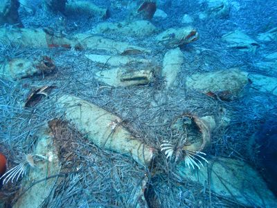 Ancient shipwreck in the sea off Protaras, Cyprus.
