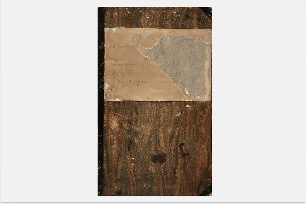 Adam Francis Plummer diary on a gray background