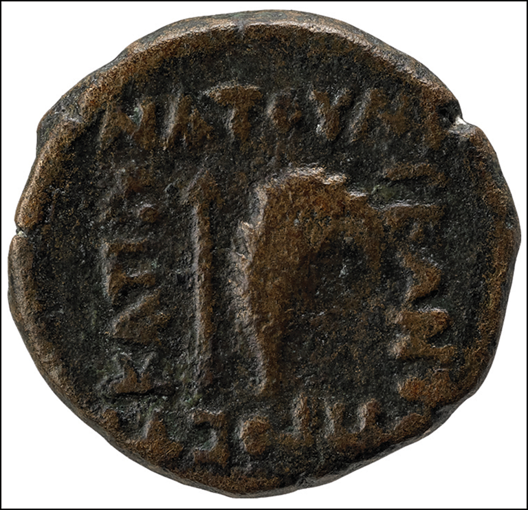 Coin of Natounia, reverse. Inscription: NATOΥN / IEΩN T[ΩN] / ΠPOC TΩ / KAPΠΩ