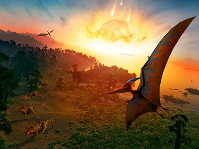 Although the asteroid strike that created Chicxulub crater in modern-day Mexico dramatically affected life on Earth, the fiery crash isn't the whole story of the fate of the dinosaurs. 