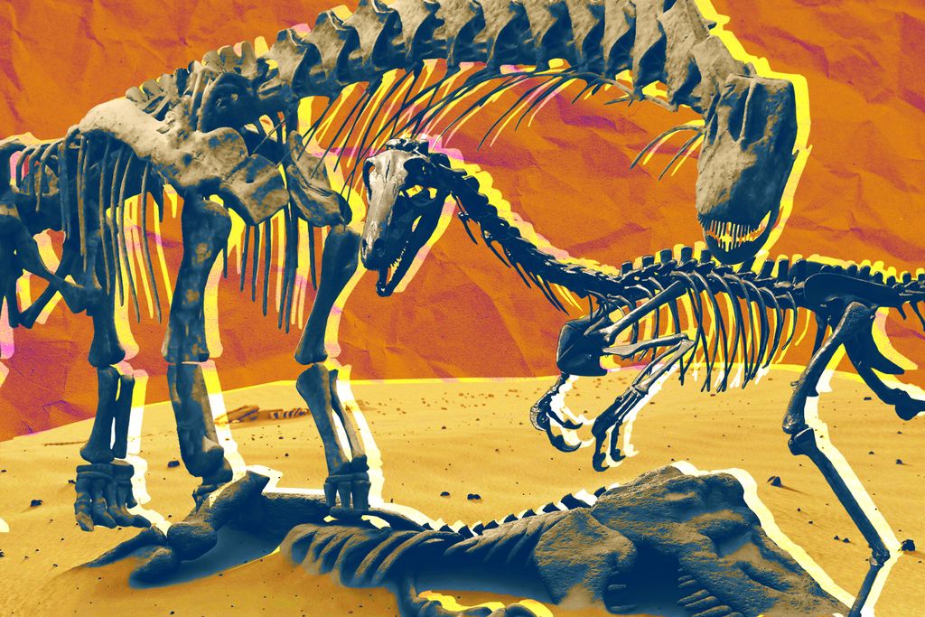 Dinosaur Skeletons