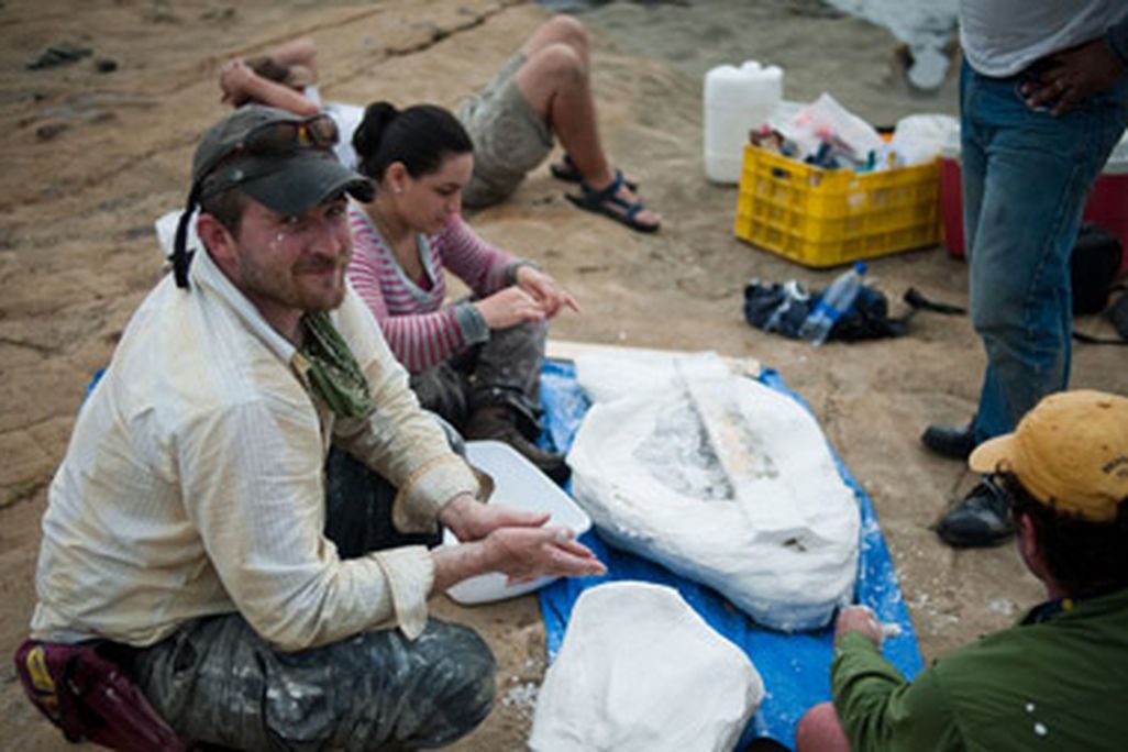 20110712092004nick-pyenson-natural-history-museum.jpg
