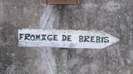 Follow the arrows, find the cheese. This sign led to a sheep farm in the village of Tilhouse.