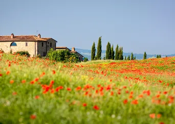 DISCOVER Tuscany and Umbria: Italy's Enchanting Hill Towns description