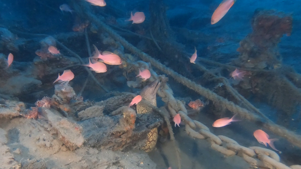 Italian shipwreck