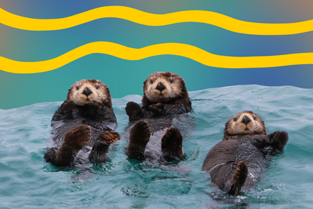 sea otters.png