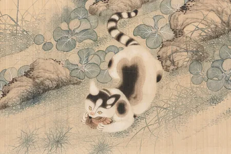 The study included two species of small cats, domesticated cats and leopard cats.