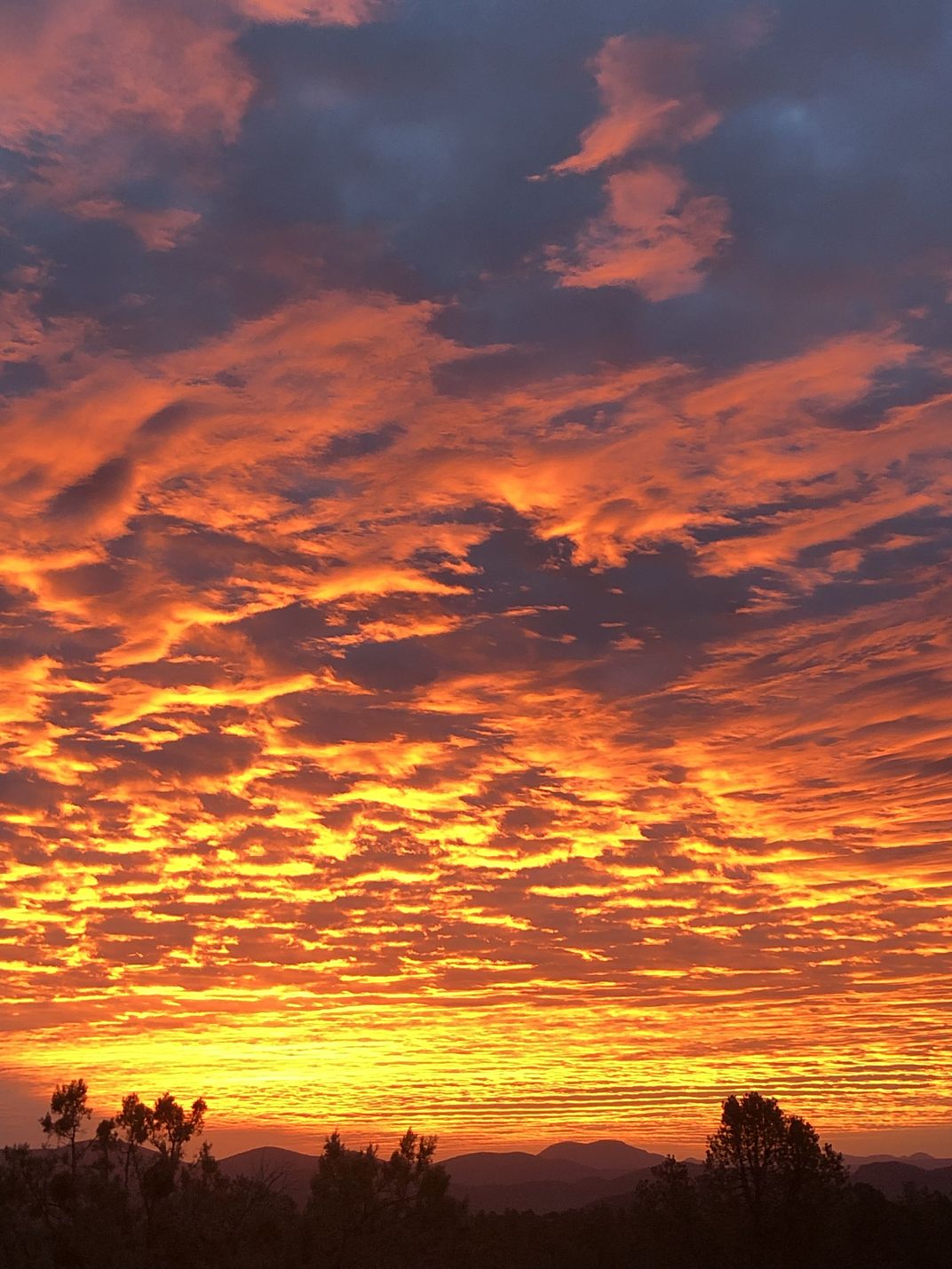 thanksgiving-day-sunrise-smithsonian-photo-contest-smithsonian-magazine