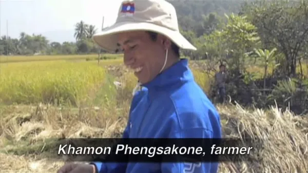 Preview thumbnail for Sticky Rice in Laos